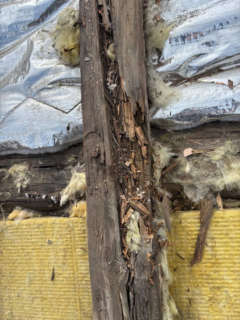 Pièce de charpente contrôlée après un sinistre