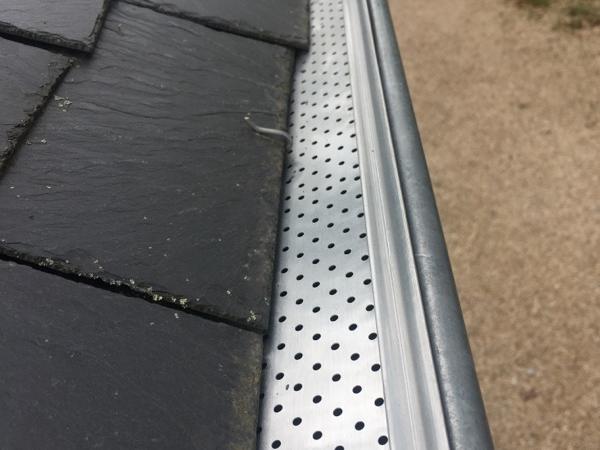 Grille pare-feuilles perforée posée sur une gouttière