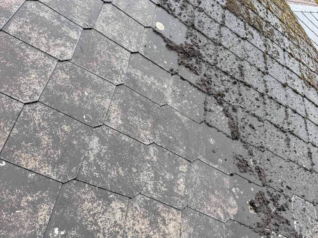 Toiture envahie par les lichens avant le nettoyage, à Sonchamp