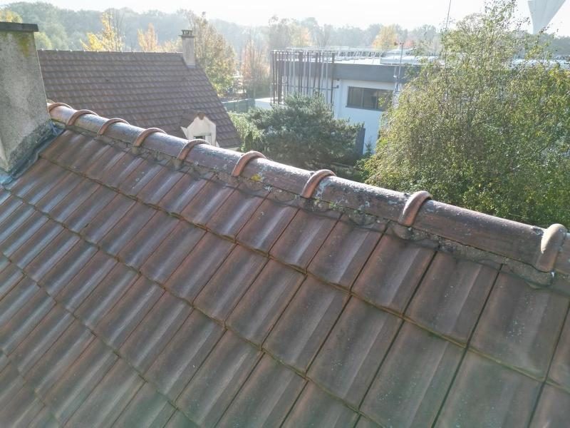 Tuiles béton avant traitement aux Essarts-le-Roi
